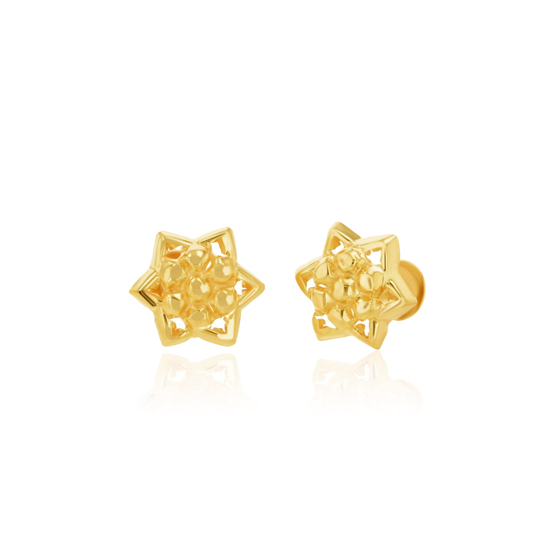 18K Real Gold Star Screw Earring Set