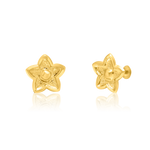Load image into Gallery viewer, 18K Real Gold Star Screw Earring Set
