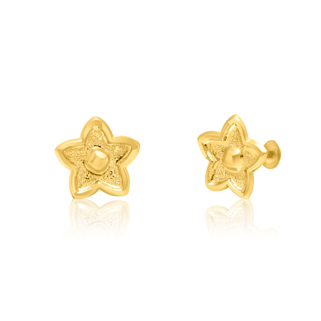 18K Real Gold Star Screw Earring Set