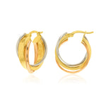Load image into Gallery viewer, 18K Real Gold 3 Color Loop Earrings
